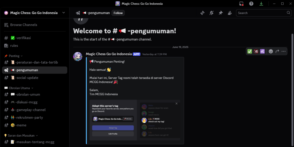 Ngobrol Seru Bareng Sesama Player di Discord Resmi MCGG, Apa Sih Itu?